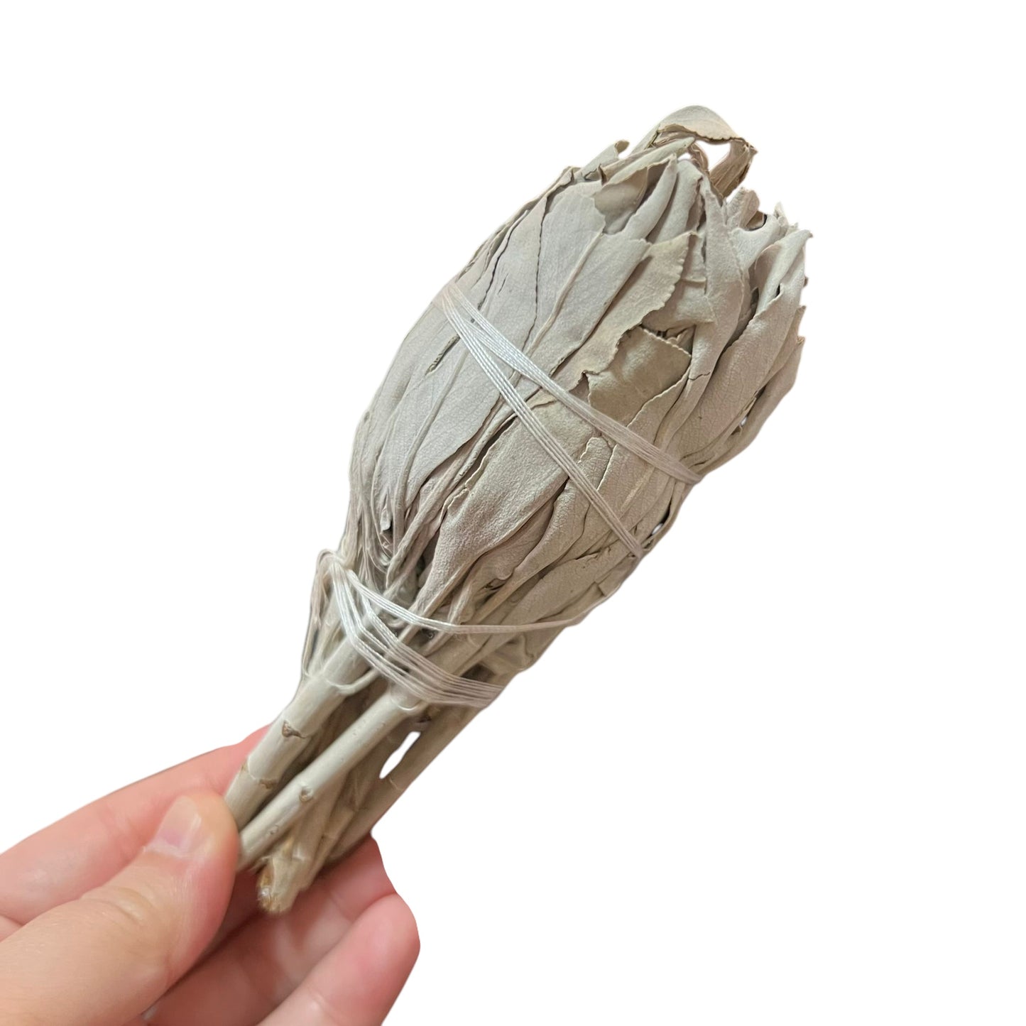 White Sage bundle mini drumstick 4” (California)