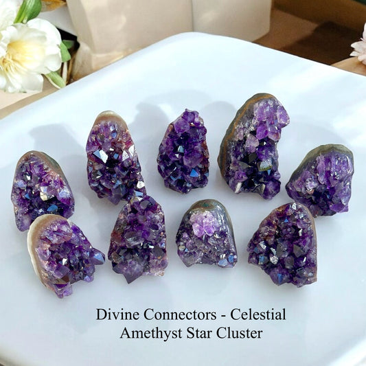 Celestial Amethyst Star Cluster (Divine Connectors) Brazil