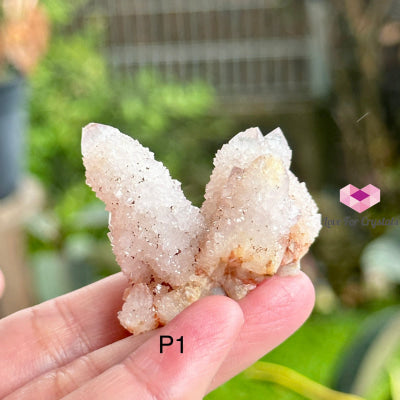 Amethyst Cactus Spirit Quartz Cluster (South Africa) Collectors Photo 1 Raw Crystals