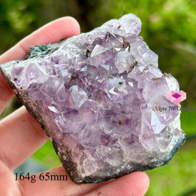 Amethyst Cluster Druse (Brazil) 60-75Mm 164G 65Mm Caves Geodes And Clusters