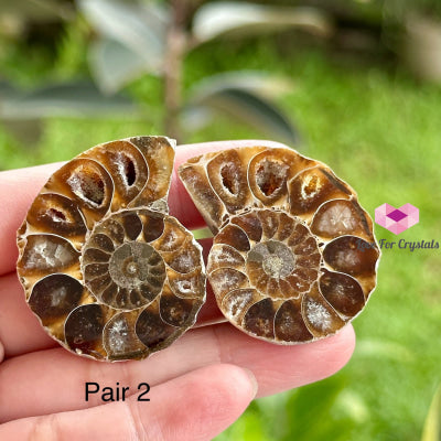 Ammonite Pairs (Madagascar)40-50Mm Pair 2 Raw Crystals