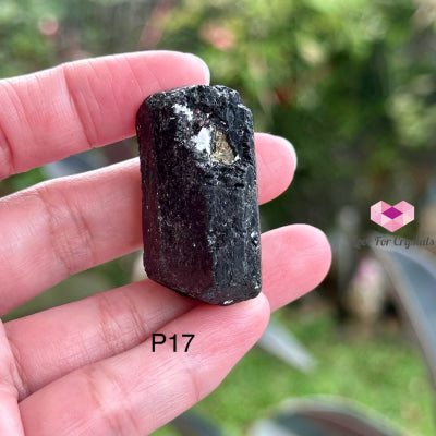 Black Tourmaline Double Terminated Raw (Brazil) P17 Crystals