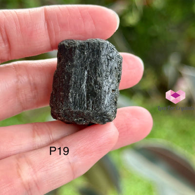 Black Tourmaline Double Terminated Raw (Brazil) P19 Crystals