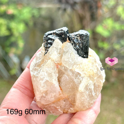 Black Tourmaline On Quartz Matrix (Mineral Gallery)Brazil Raw Stones