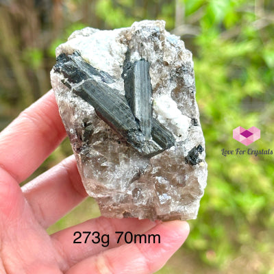 Black Tourmaline On Quartz Matrix (Mineral Gallery)Brazil Raw Stones