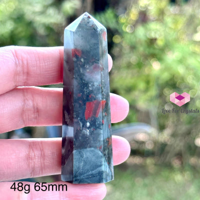 Bloodstone Tower Points (India) 48G 65Mm Polished Crystals