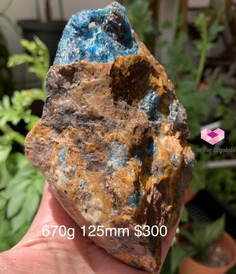 Blue Apatite In Jasper Raw (Brazil) 670G 125Mm Stones