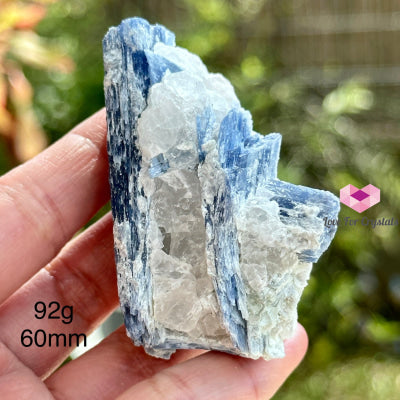 Blue Kyanite In Quartz Matrix (Brazil) With Stand 92G 60Mm Raw Crystals