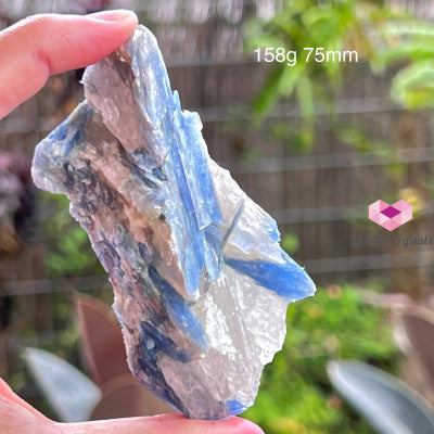 Blue Kyanite Raw (Brazil) 158G 75Mm Stones