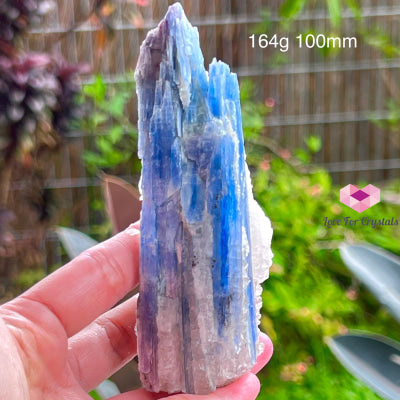 Blue Kyanite Raw (Brazil) 164G 100Mm Stones