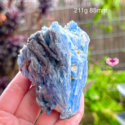 Blue Kyanite Raw (Brazil) 211G 85Mm Stones