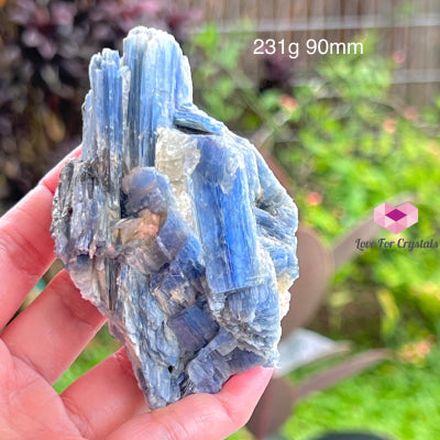 Blue Kyanite Raw (Brazil) 231G 90Mm Stones