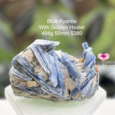 Blue Kyanite With Golden Healer (Brazil) Rare! 494G Raw