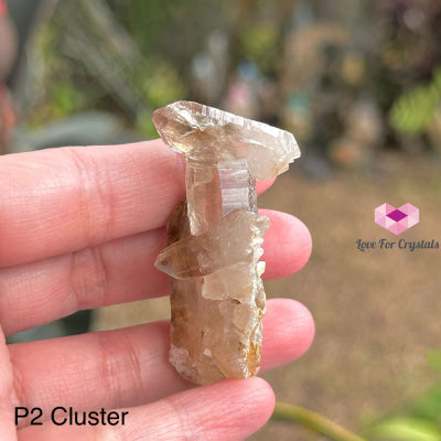 Brandberg Smoky Quartz Cluster (South Africa) Collectors P2 - 55Mm Raw Crystals