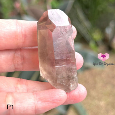 Brandberg Smoky Quartz Point (South Africa) Collectors P1 - 50Mm Raw Crystals