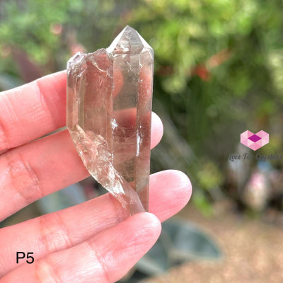 Brandberg Smoky Quartz Point (South Africa) Collectors P5 - 55Mm Raw Crystals