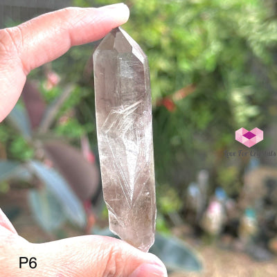 Brandberg Smoky Quartz Point (South Africa) Collectors P6 - 80Mm Raw Crystals