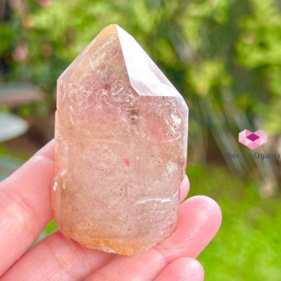 Brandberg Smoky Quartz With Hematite (South Africa) Collectors 60X30Mm Raw Crystals