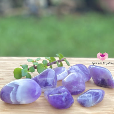 Chevron Amethyst Tumbled (Brazil)