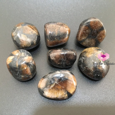 Chiastolite Tumbled (Fairy Cross) 30 Mm Stones