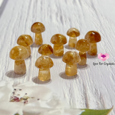 Citrine Mushroom Carved Crystal 15Mm Polished Crystal