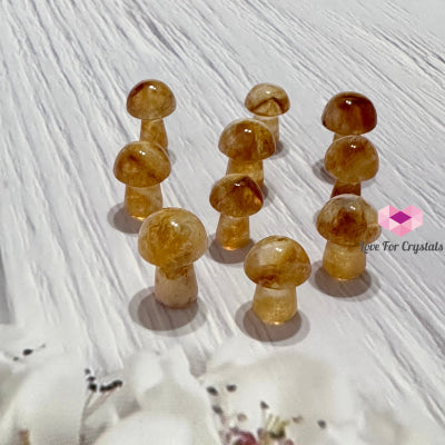 Citrine Mushroom Carved Crystal 15Mm Polished Crystal