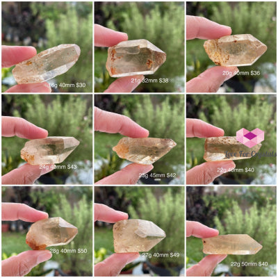 Citrine Natural Raw Points (Brazil) Aaa Stones