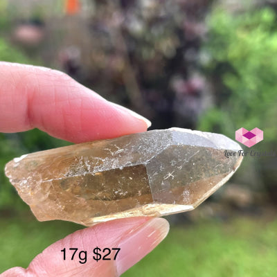 Citrine Natural Raw Points (Brazil) Aaa 17G 40Mm Stones