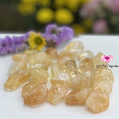 Citrine Tumbled (Brazil) Aaa (Per Pack) Pack Of 3 (20-35Mm) Stones