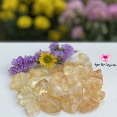 Citrine Tumbled (Brazil) Aaa (Per Pack) Stones