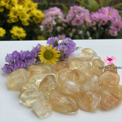 Citrine Tumbled (Brazil) Aaa (Per Pack) Stones