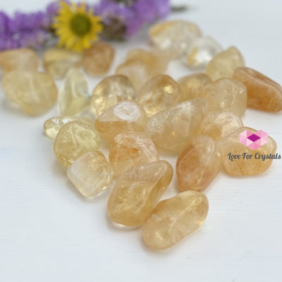 Citrine Tumbled (Brazil) Aaa (Per Pack) Stones