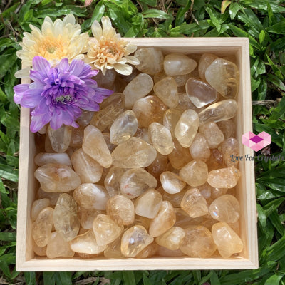 Citrine Tumbled Stones Aaa (Brazil) 50G Pack