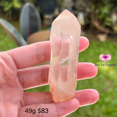 Clear Pink Lemurian Seed Crystal (Brazil) Aaaa Grade Medium To Large Pieces 49G 75Mm Raw Stones