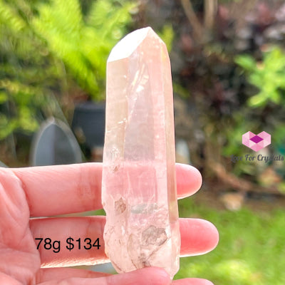 Clear Pink Lemurian Seed Crystal (Brazil) Aaaa Grade Medium To Large Pieces Raw Stones