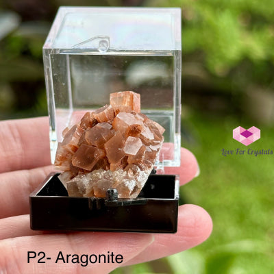 Crystal Mineral Specimen In A Box (35Mm Box) Photo 2- Aragonite Raw Crystals