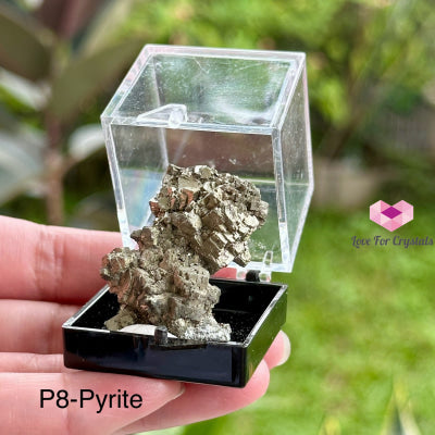 Crystal Mineral Specimen In A Box (35Mm Box) Photo 8- Pyrite Raw Crystals