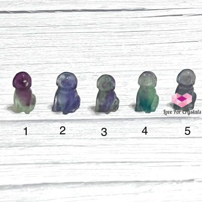 Fluorite Carved Crystal Dogs 30Mm P1 Crystals