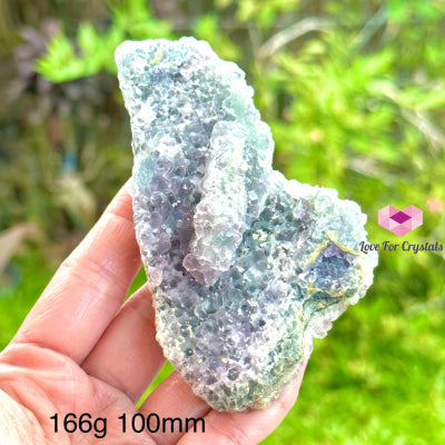 Fluorite Cluster (Mexico)Collectors & Rare! 166G 100Mm Crystals