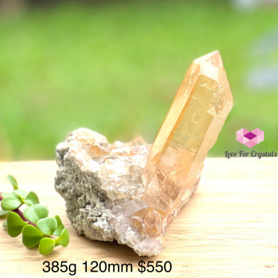 Golden Healer Lemurian Clusters Aaa (Brazil) Rare 385G 120Mm