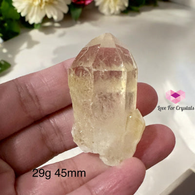 Golden Healer Point (Good Health Activator) Brazil 29G 45Mm Raw Points