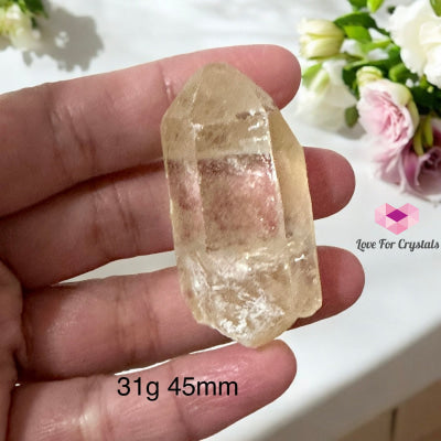 Golden Healer Point (Good Health Activator) Brazil 31G 45Mm Raw Points