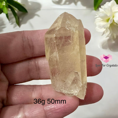 Golden Healer Point (Good Health Activator) Brazil 36G 50Mm Raw Points