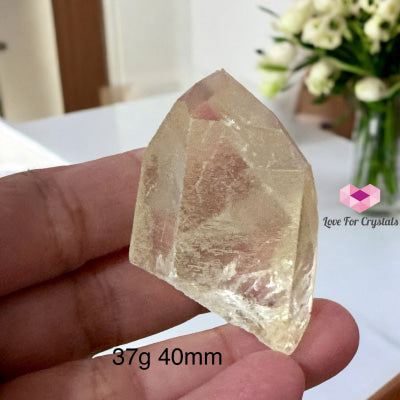 Golden Healer Point (Good Health Activator) Brazil 37G 40Mm Raw Points