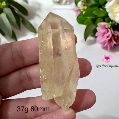 Golden Healer Point (Good Health Activator) Brazil 37G 60Mm Raw Points