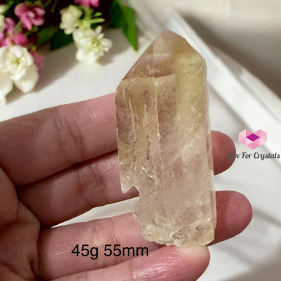 Golden Healer Point (Good Health Activator) Brazil 45G 55Mm Raw Points