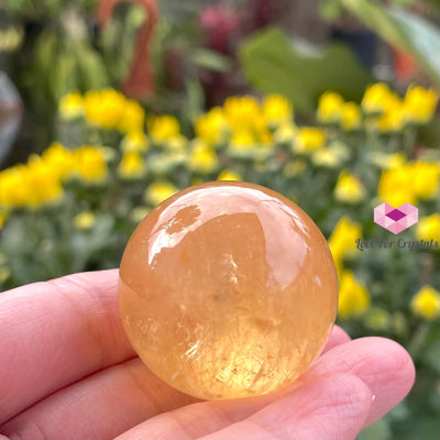 Golden Honey Calcite Spheres (Mexico) 30Mm