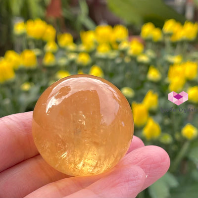 Golden Honey Calcite Spheres (Mexico) 30Mm