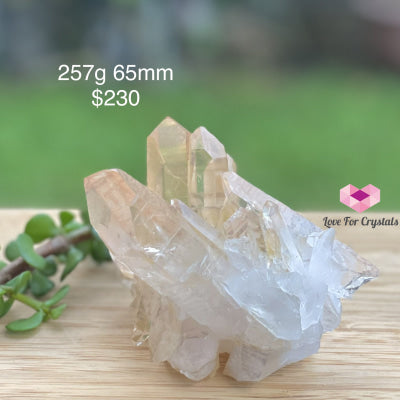 Golden Quartz Cluster With Hematite (Brazil) 257G 65Mm