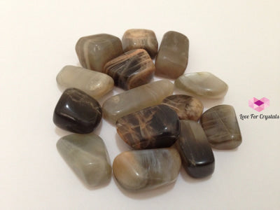 Golden Sheen Obsidian Mexico (Per Pack) Tumbled Stones